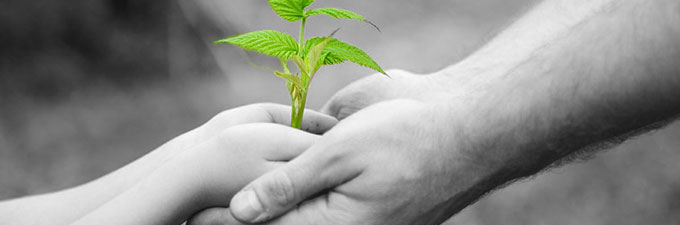 Grow Relationships